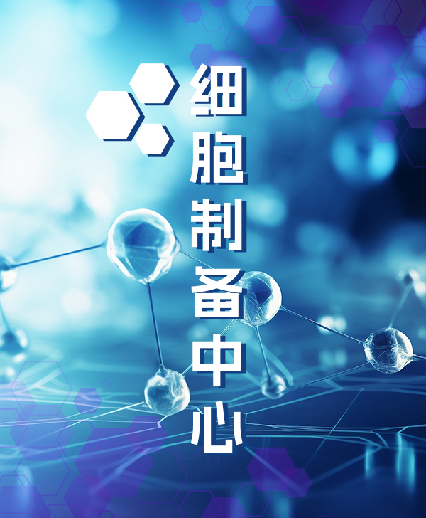 政策配景